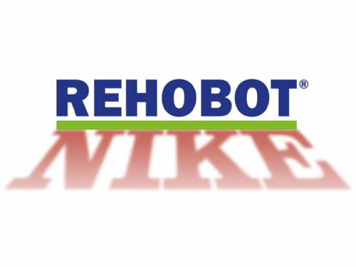 Rehobot/NIKE CH-CHF Single Acting Spring/Load Return Hollow Piston Hydraulic Cylinder Steel